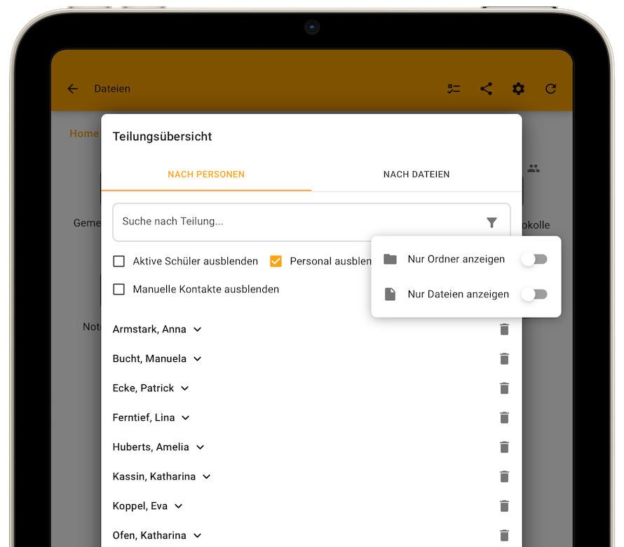 Teilungsübersicht - Dateityp-Filter